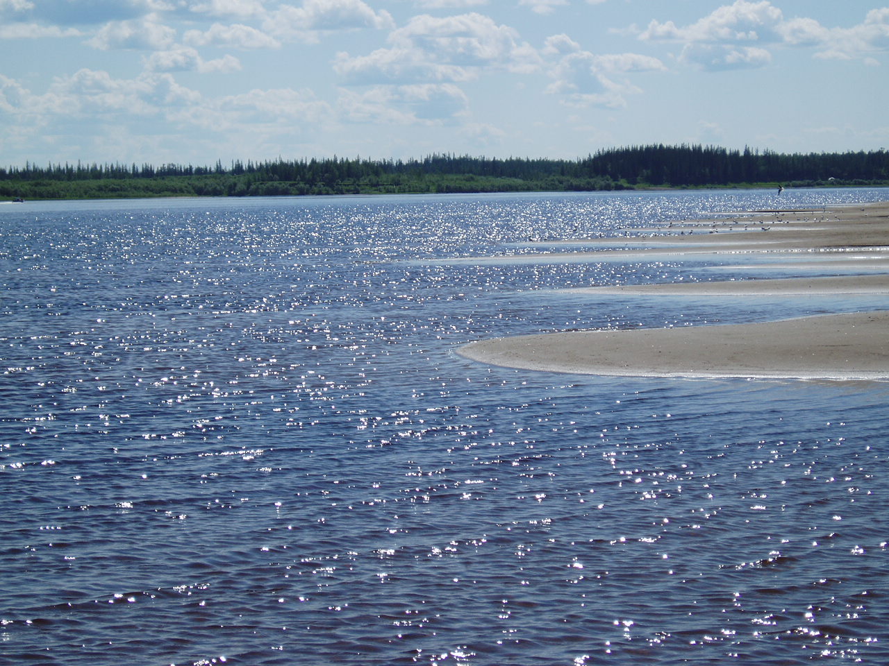 Вилюй какой океан. Река Вилюй. Река Вилюй Свердловская область. Река Вилюй в Нижнем Тагиле. День реки Вилюй.