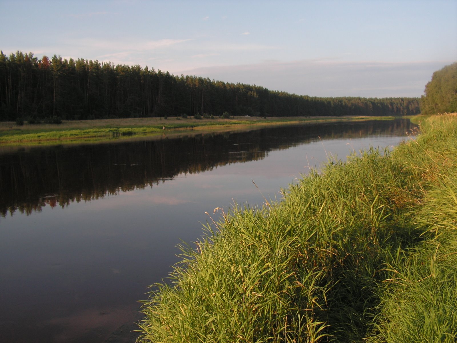Река Тверца Тверская область