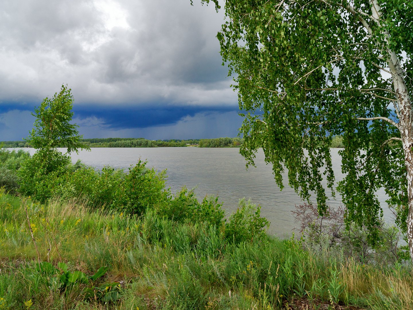 Река иртыш омская область
