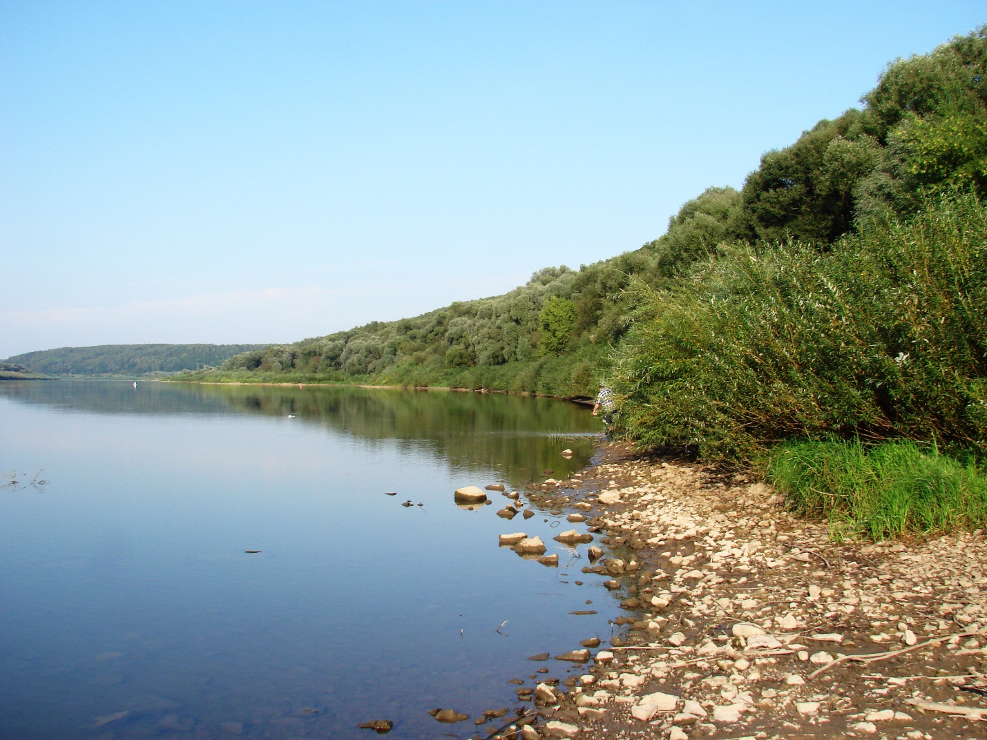 Река Вашана Тульская область