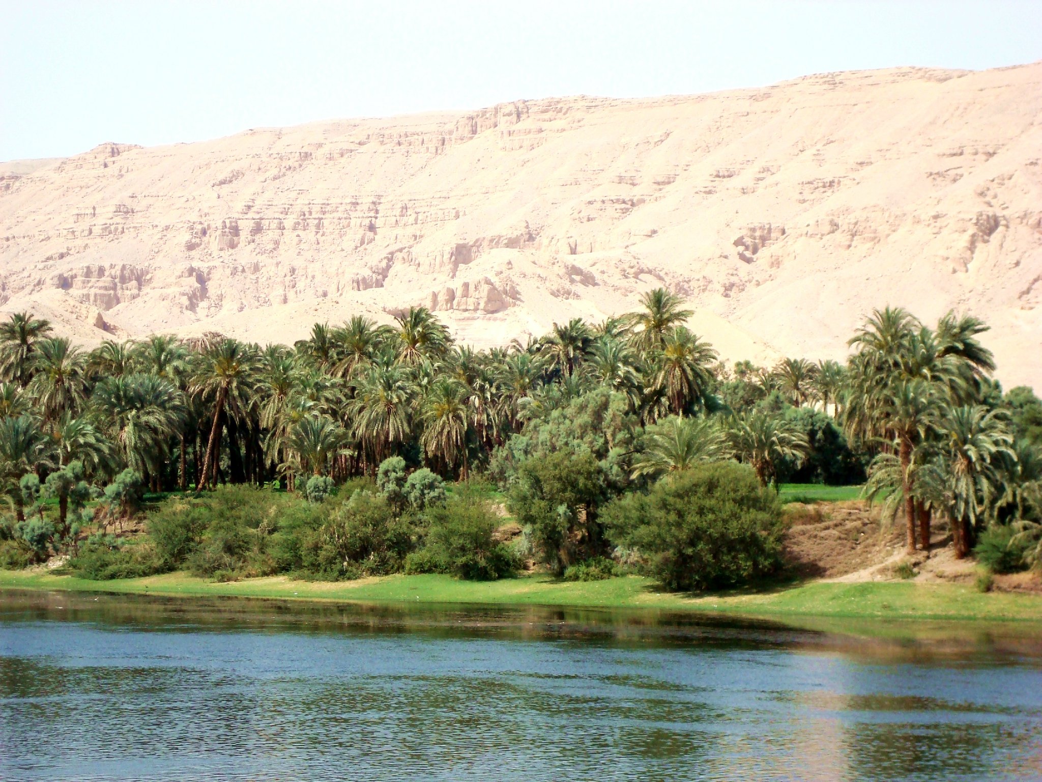 Берег Нила в древнем Египте