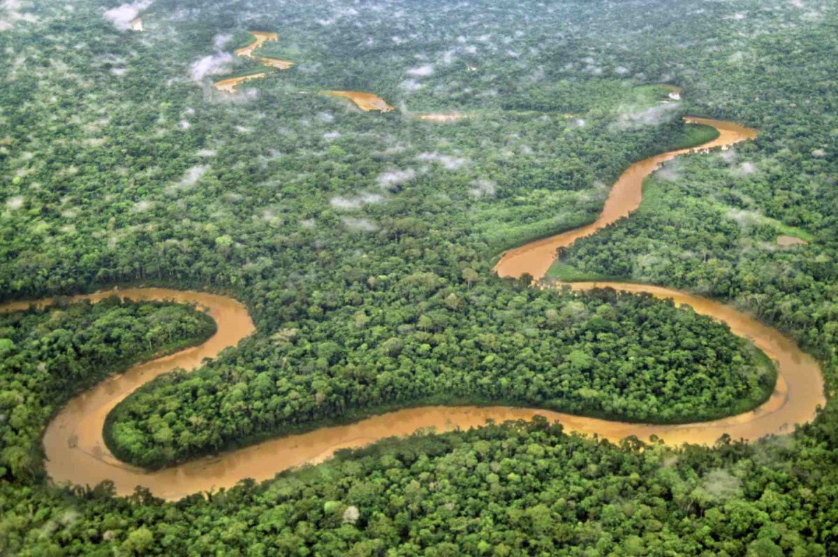 Река амазонка вид сверху