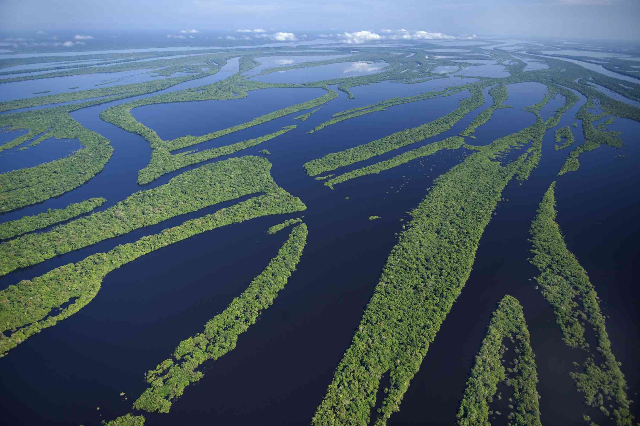 река амазонка в бразилии
