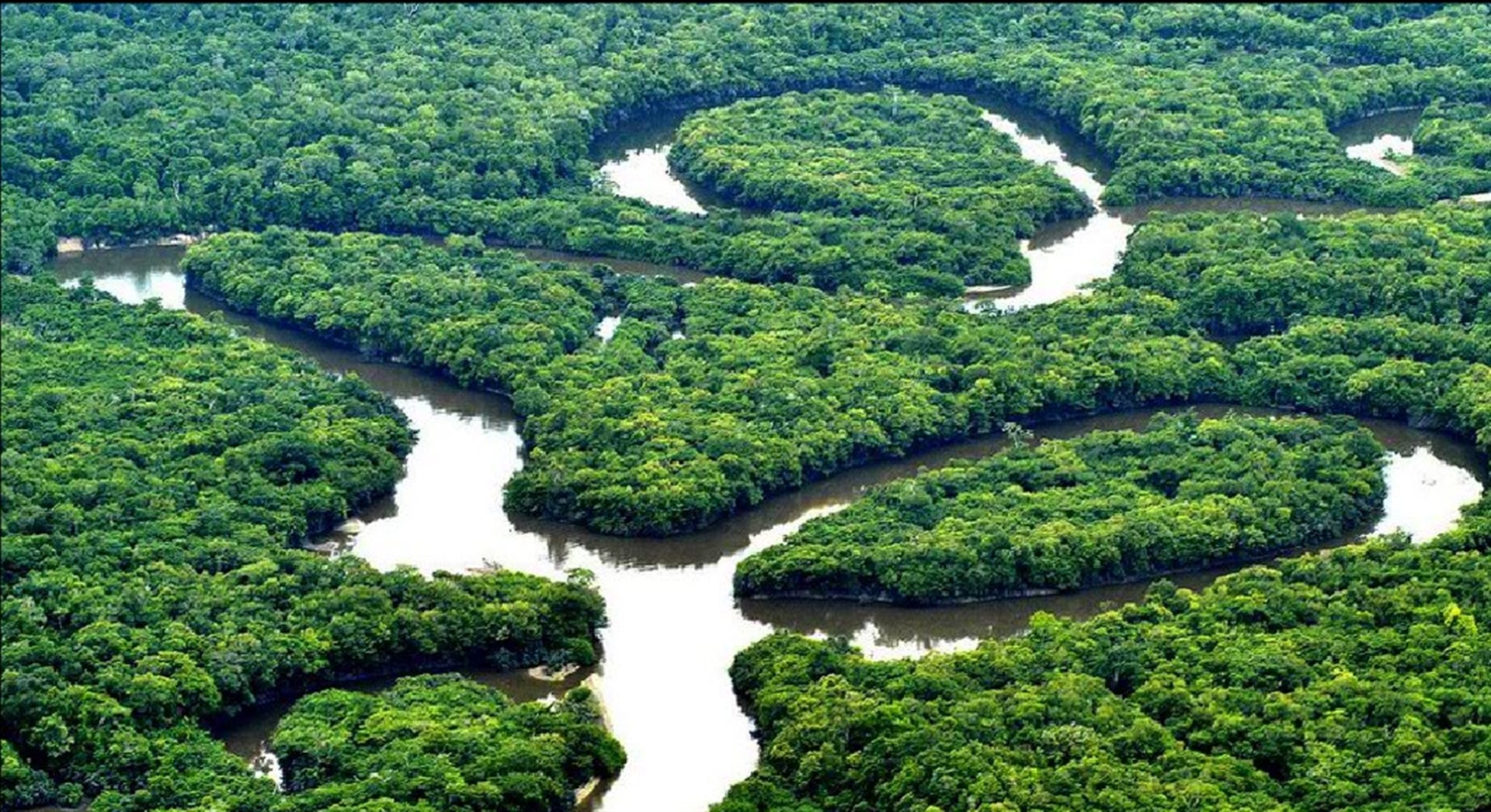 Амазония бразилия