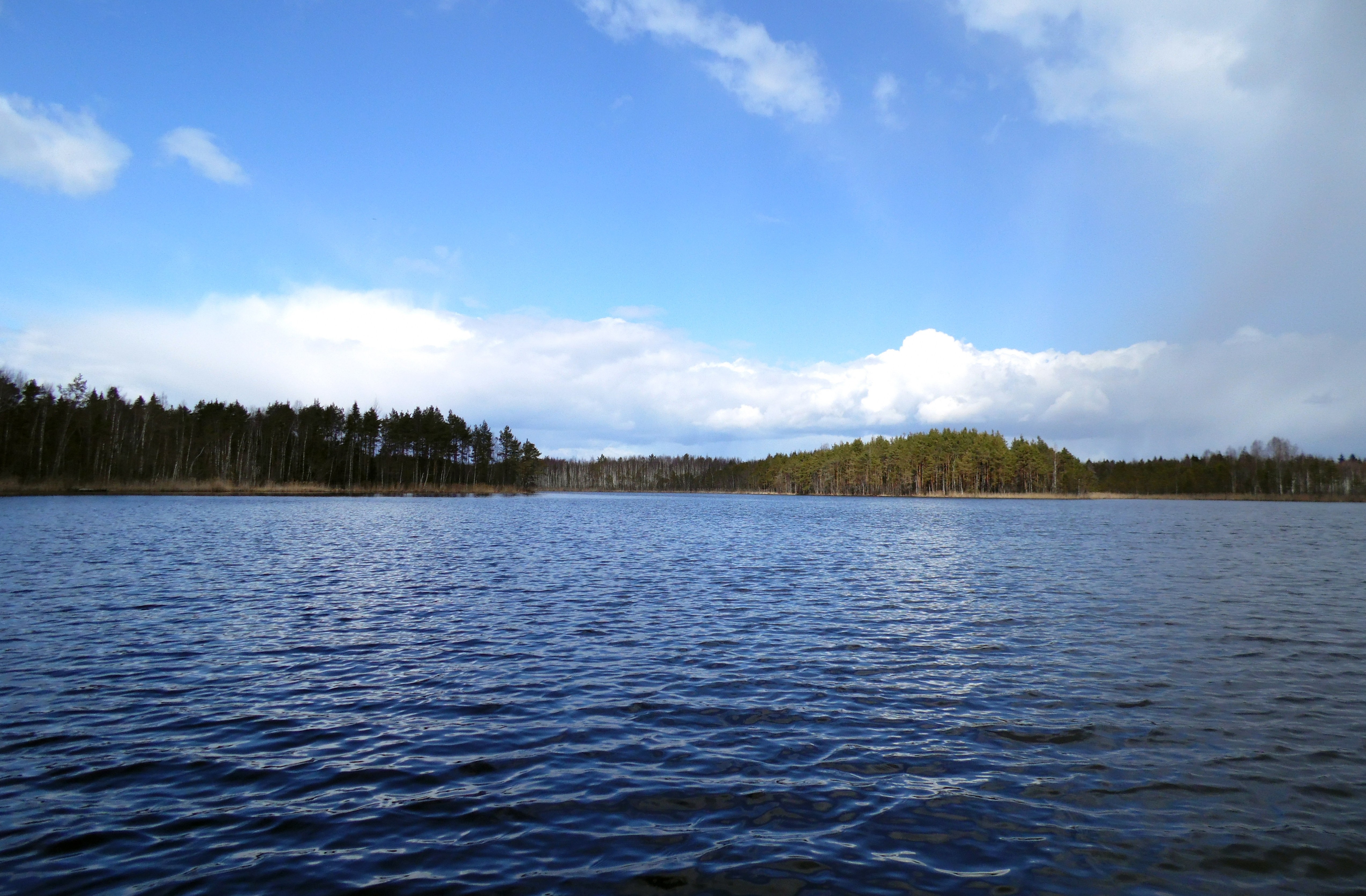 Голубое озеро в Боровичском районе