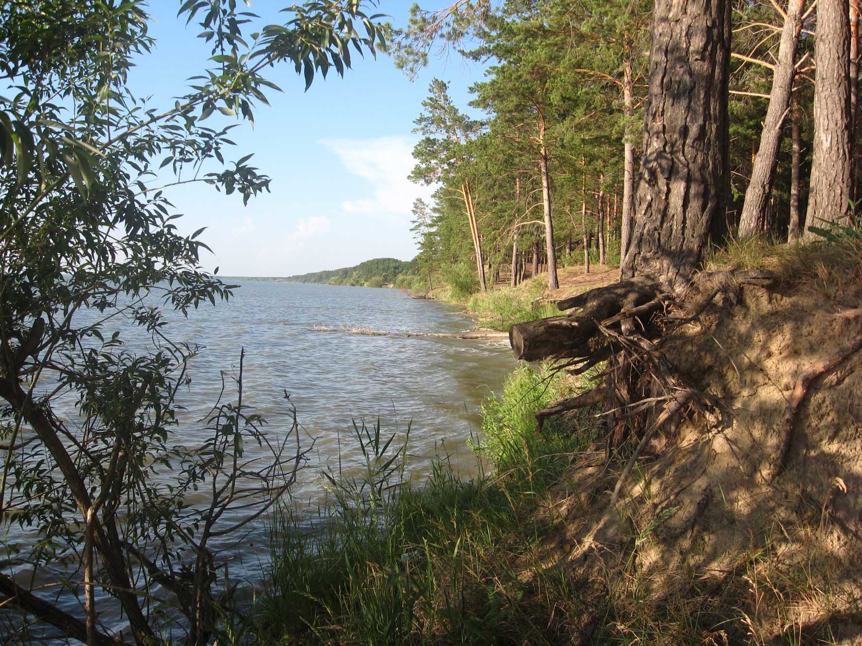 Озеро Новоегорьевское Алтайский край