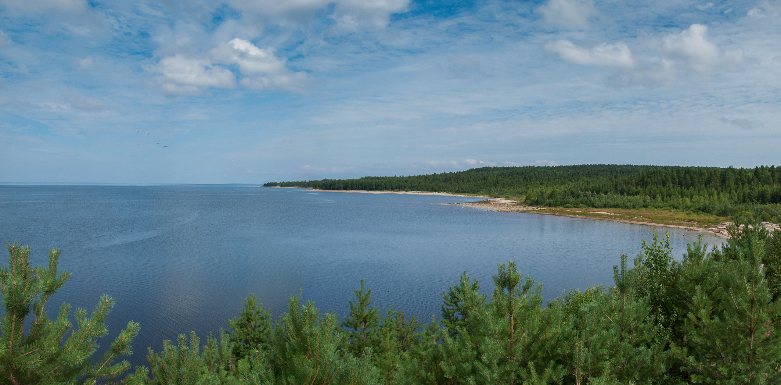 Озеры без озер. Озеро Сегозеро. Сегозерское водохранилище. Выгозеро Карелия. Озеро Сегозеро фото.