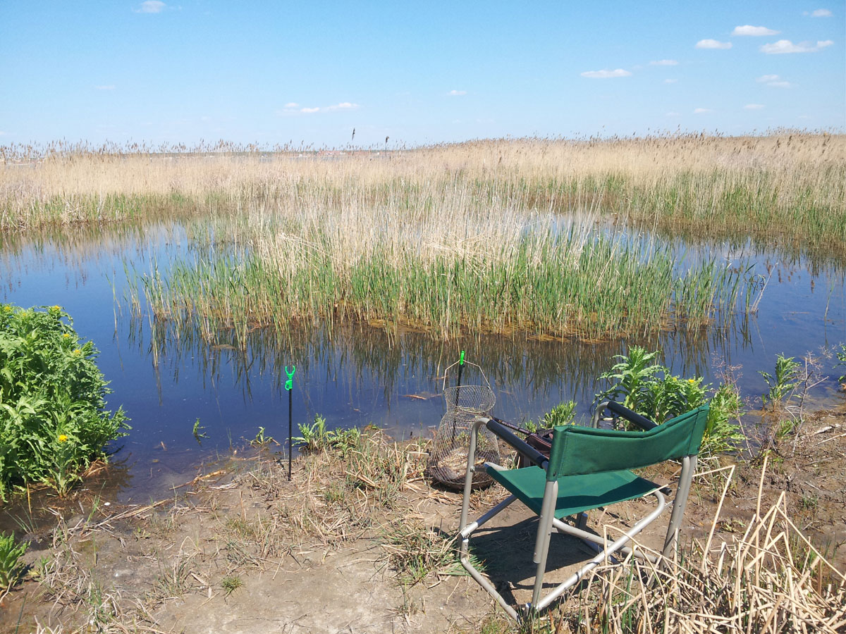 Озеро маян рыбалка. Озеро Кременкуль. Оз,большой Кременкуль Челябинск. Озеро малый Кременкуль Челябинская. Озеро Кременкуль Челябинская область.