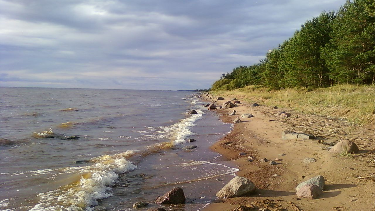 берег псковского озера