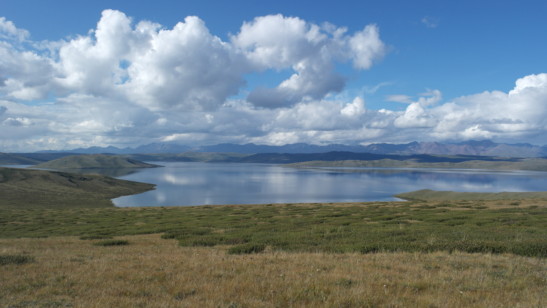 Чагытай. Озеро АК-Холь Монгун Тайга. Озеро нойон-Холь в Республике Тыва. Нойон Холь озеро.