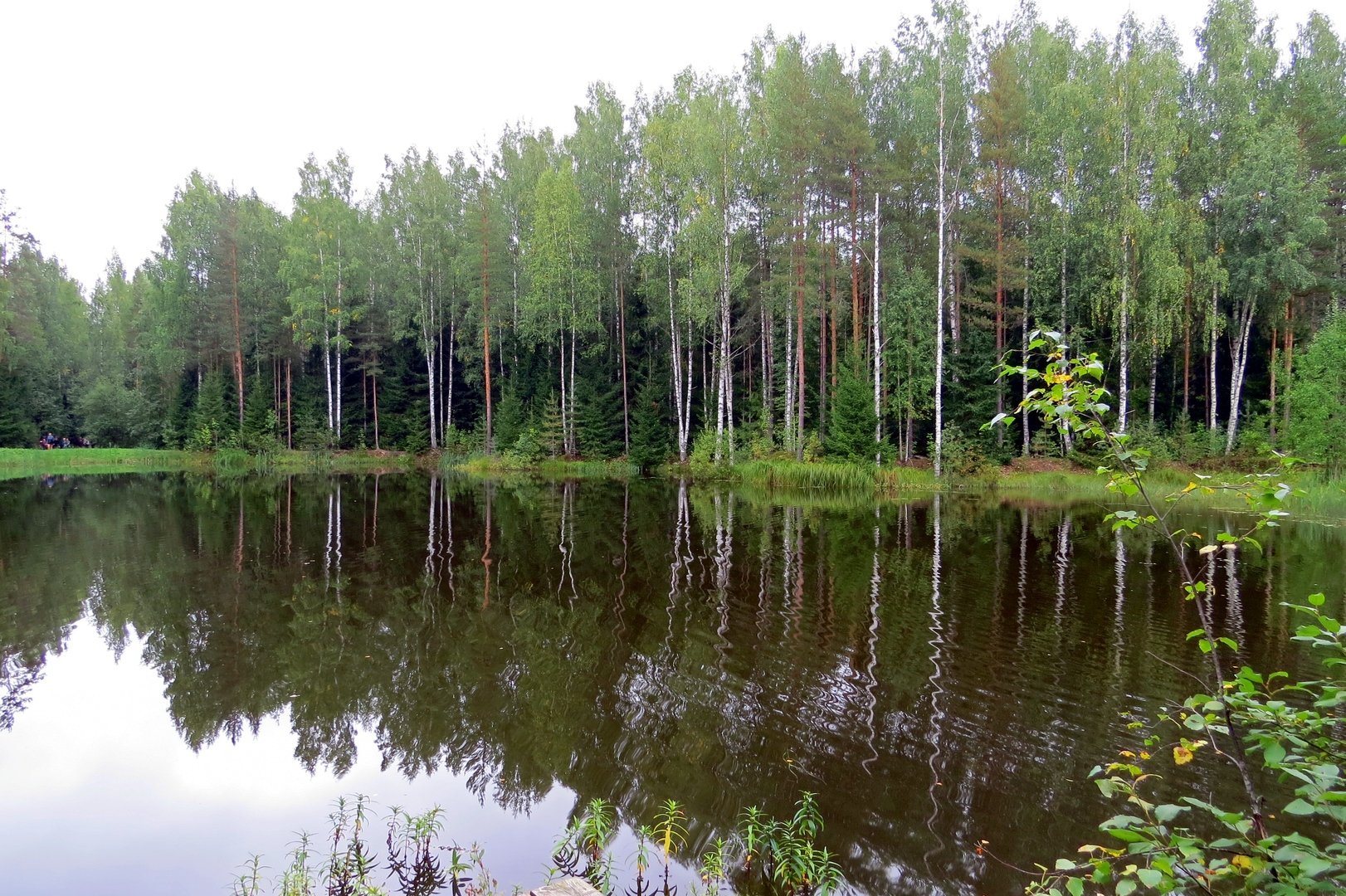 Озеро Щукино Выборгский район