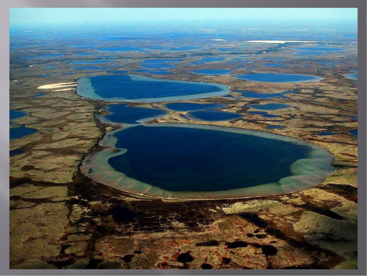 Бассейн в тундре. Озеро Нейто Ямал. Озеро Ямбуто. Озеро Ямбуто на Ямале. Термокарстовые озера Якутии.