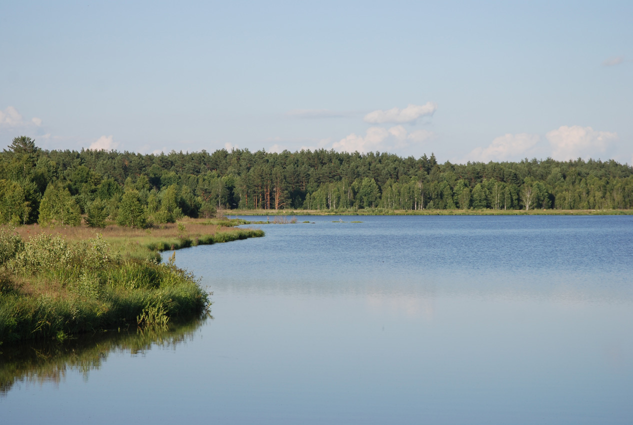 Озеро старая река. Озеро центральное в Орловском Полесье. Озеро старое Орловское Полесье. Орловское Полесье река Вытебеть. Орловское Полесье Орловская область.