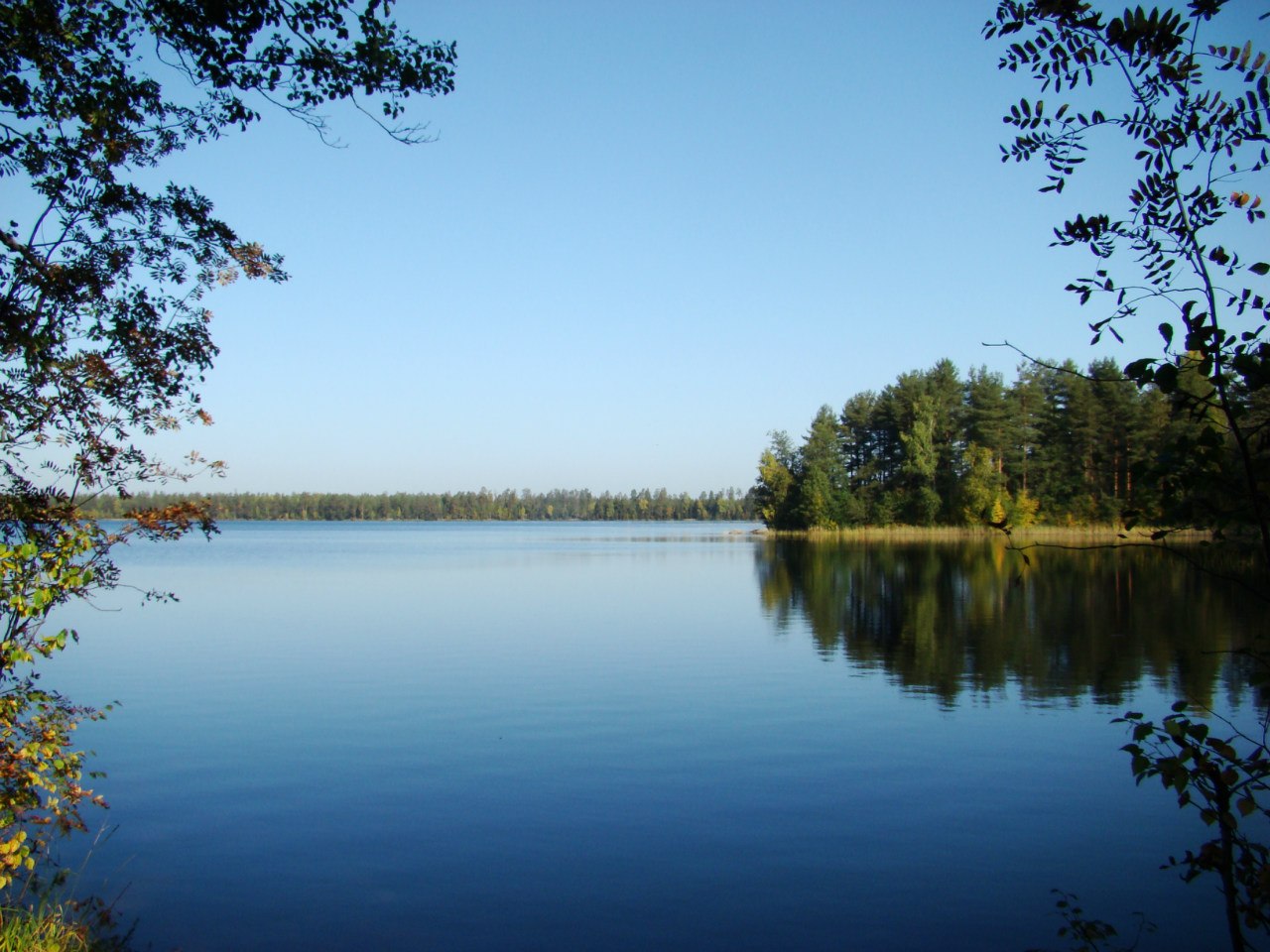Озеро большое Псковская область