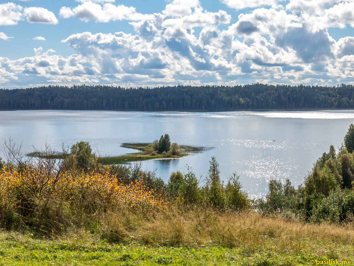Озеро Андозеро Белозерский район