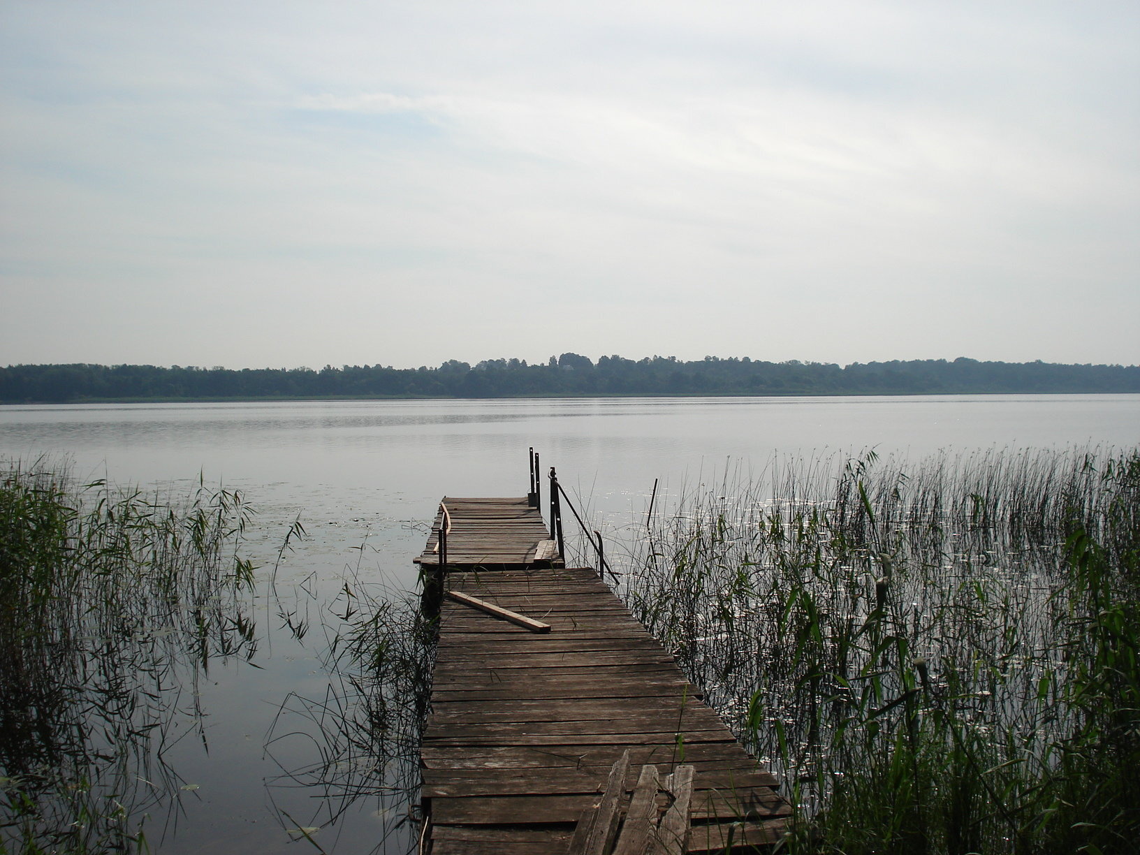 Озеро заклинское лужский район