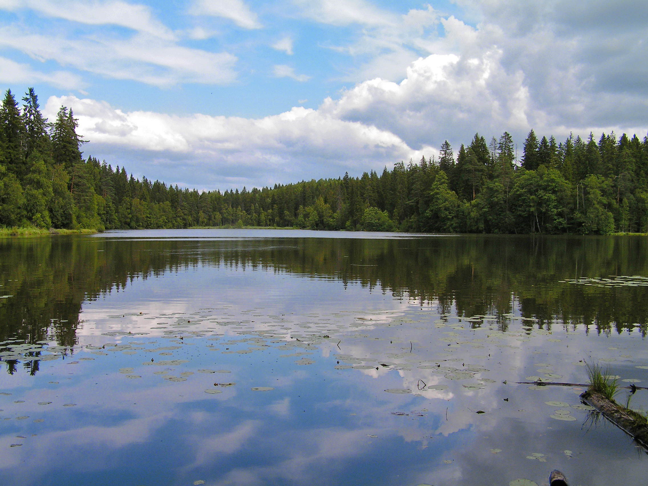 Озеро Горынское Ленинградская область