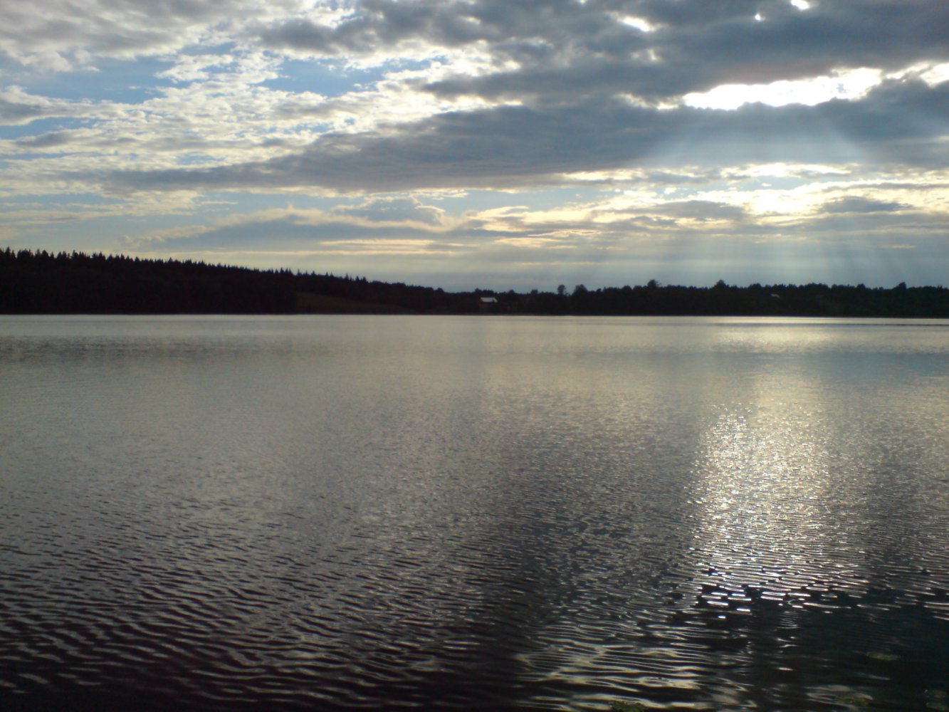 Большая Ижора озеро