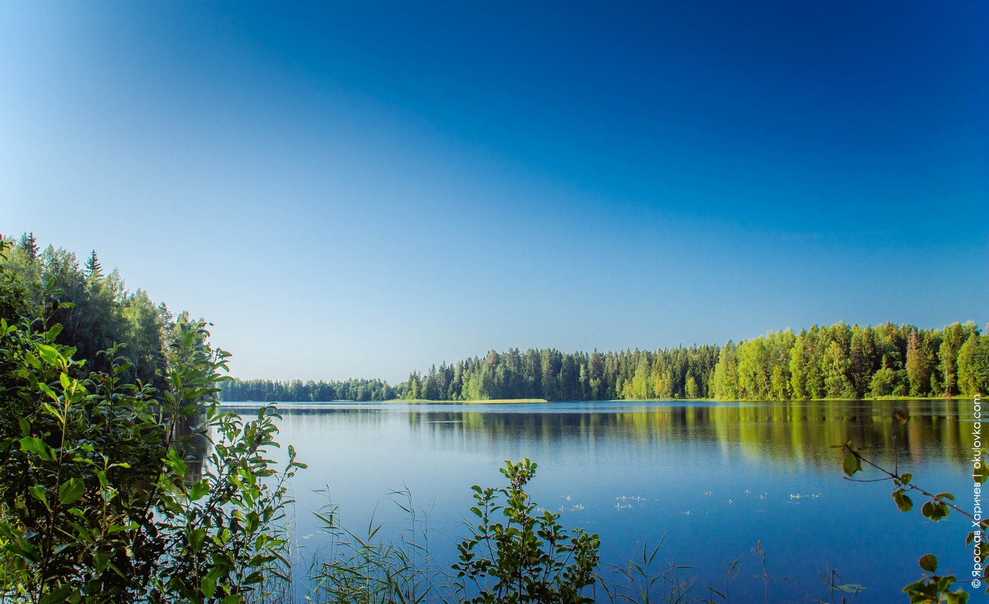 Озеро Заозерье Новгородская область