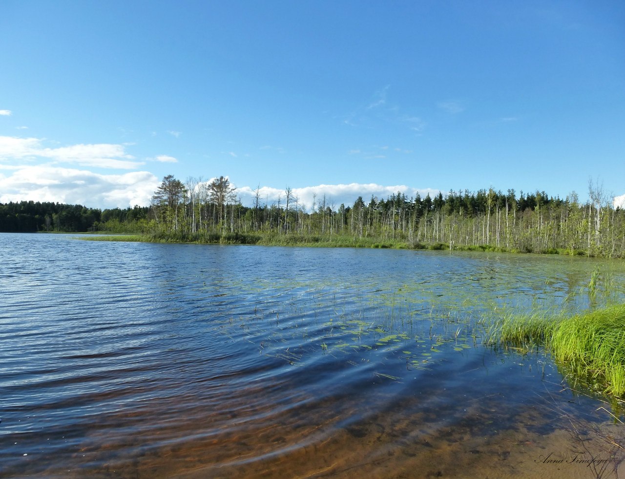 Озеро Кремино Тверская область