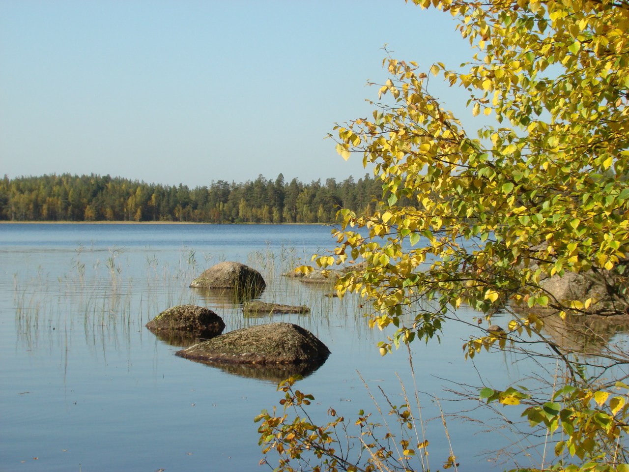 Озеро Красноперское Ленинградская область