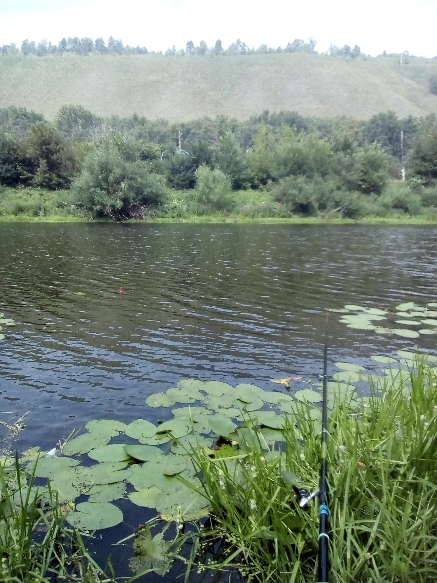 Федоровские Луга Тольятти рыбалка