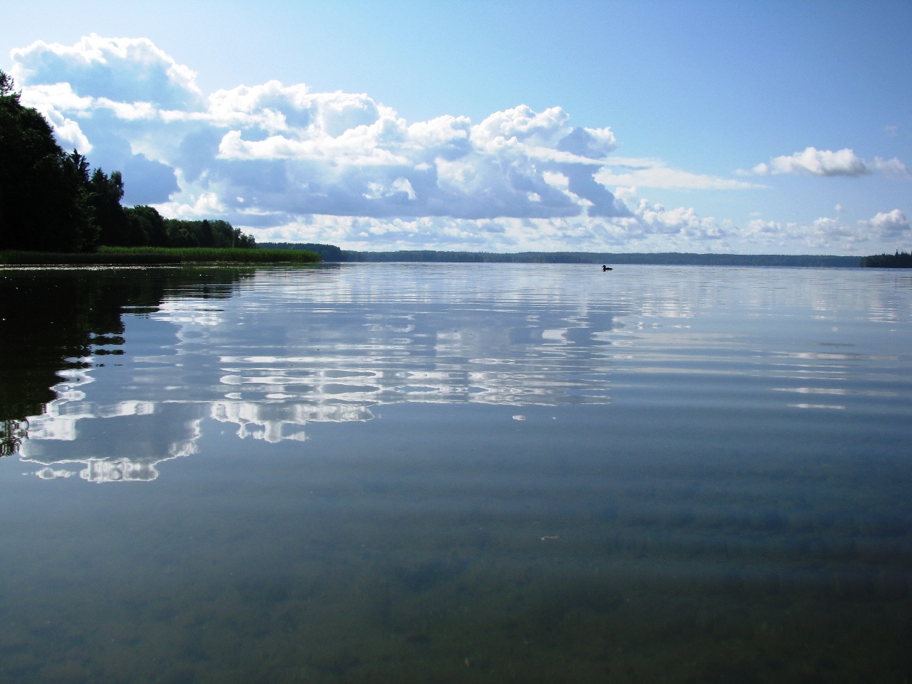 озеро сартлан новосибирская область