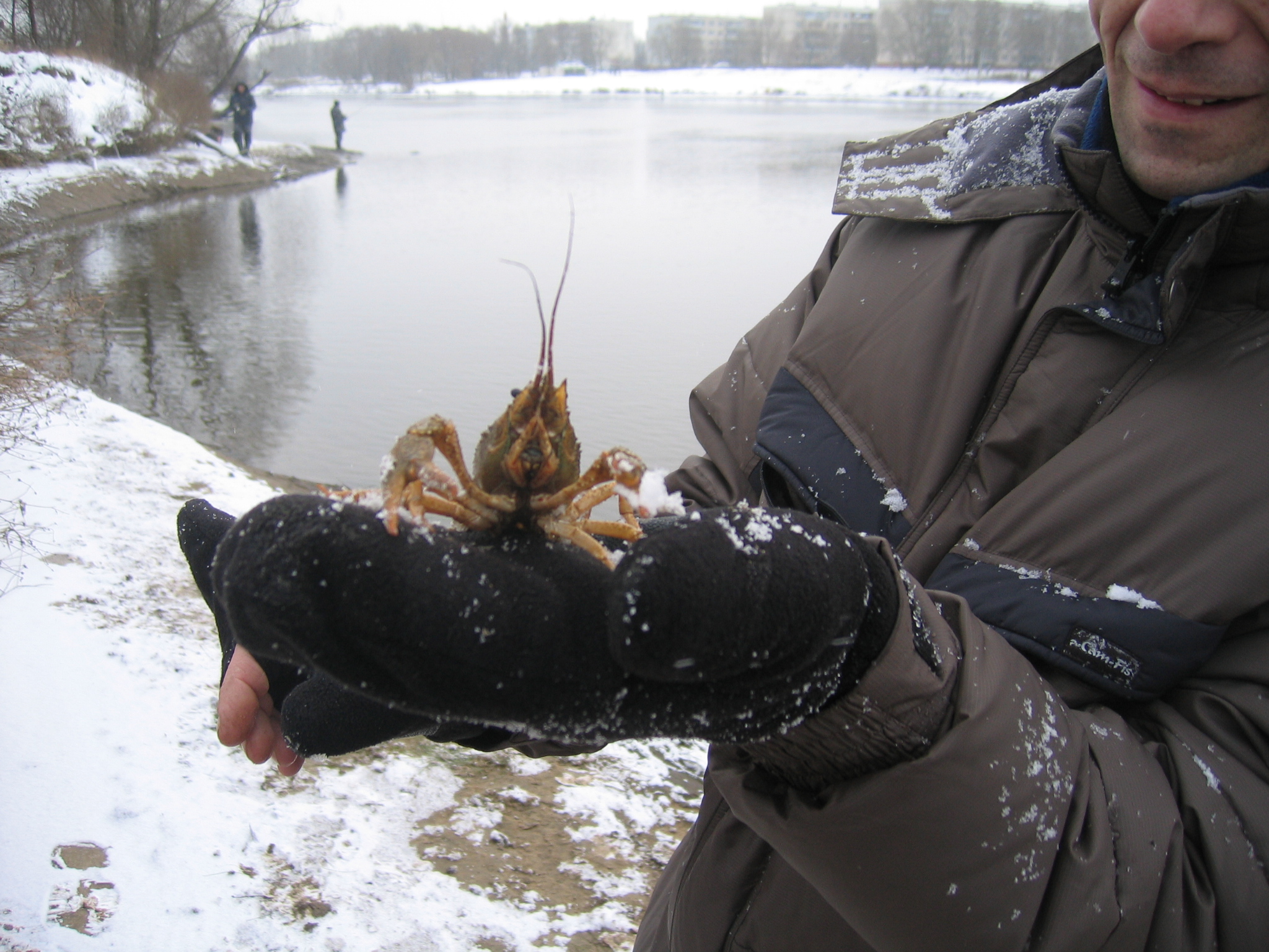 Можно и проще ловить раков в реке. Речной рачок для рыбалки. Раковые озера. Рачки озерные. Река рачка в Москве.