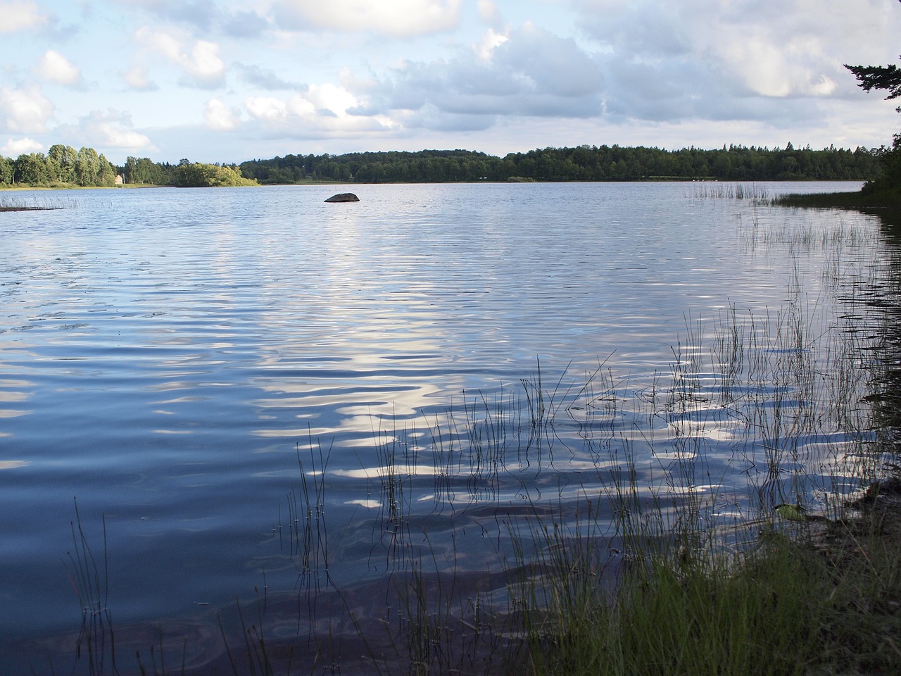 Рыбалка озеро летнее. Богушевск озеро Рыбное. Рыбалка на озере. Рыба в озере. Рыбалка на озере фото.