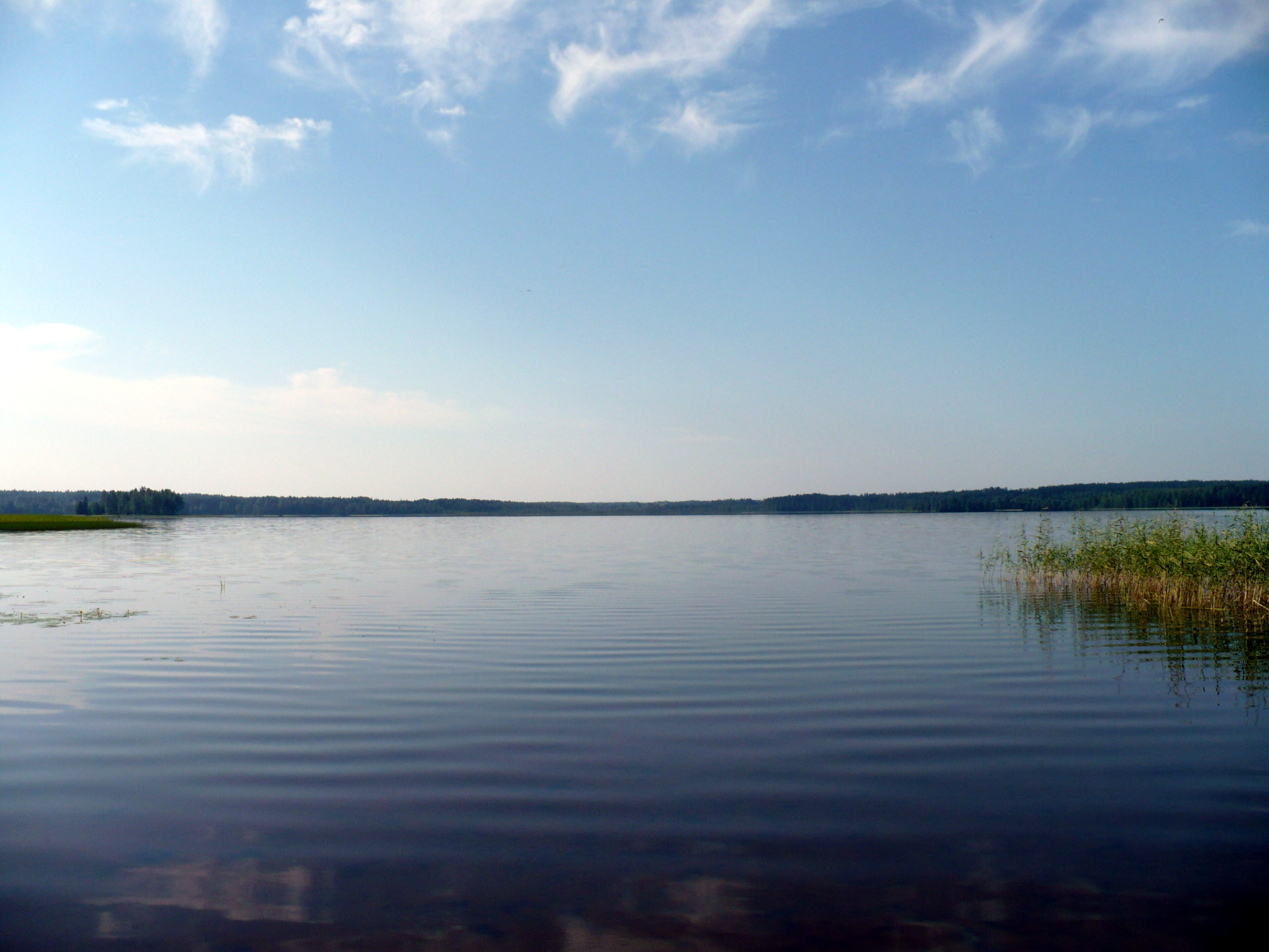 Озеро Перетно Новгородская область