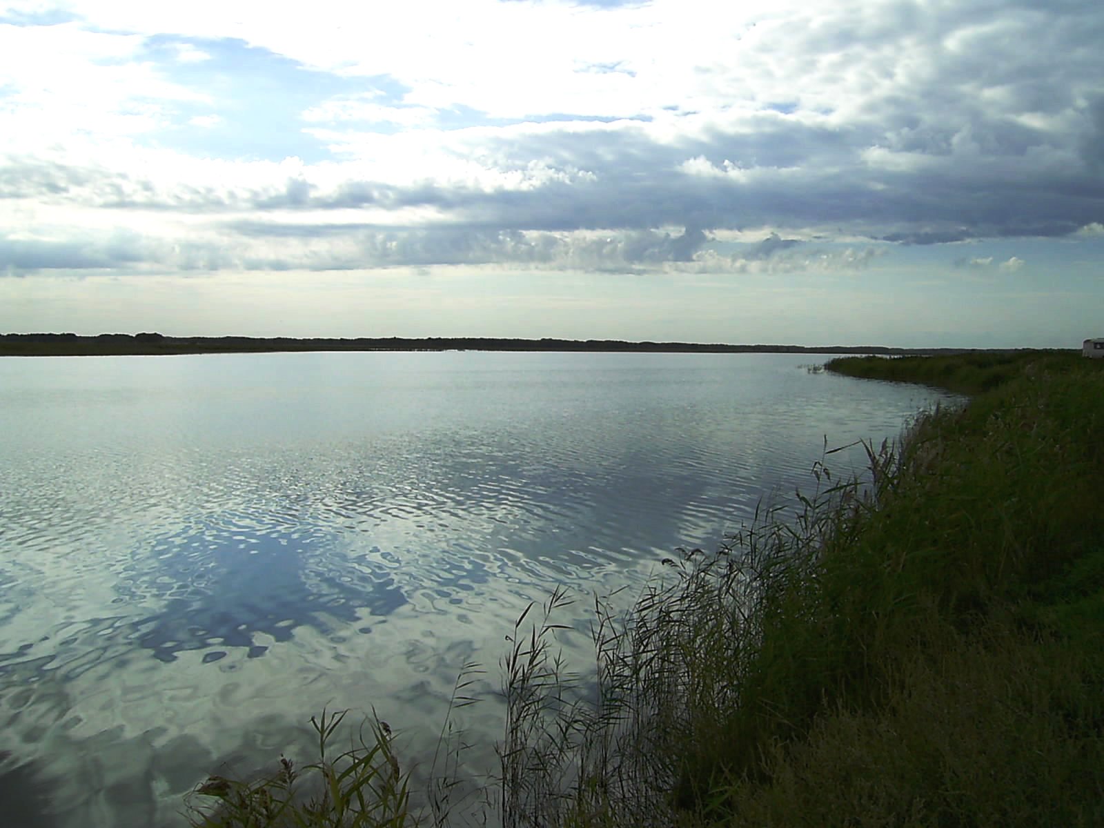 Озеро моховое омск нефтяники фото