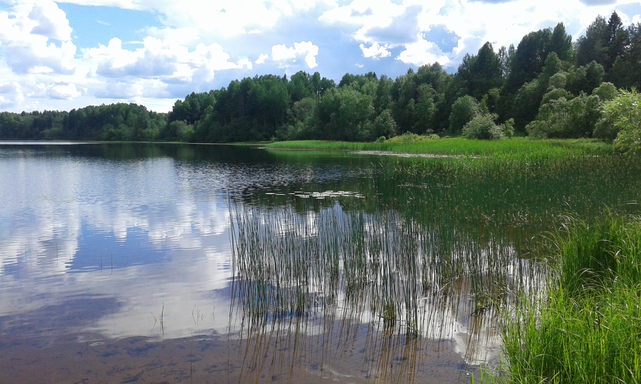 Спасское (озеро, Архангельская область)