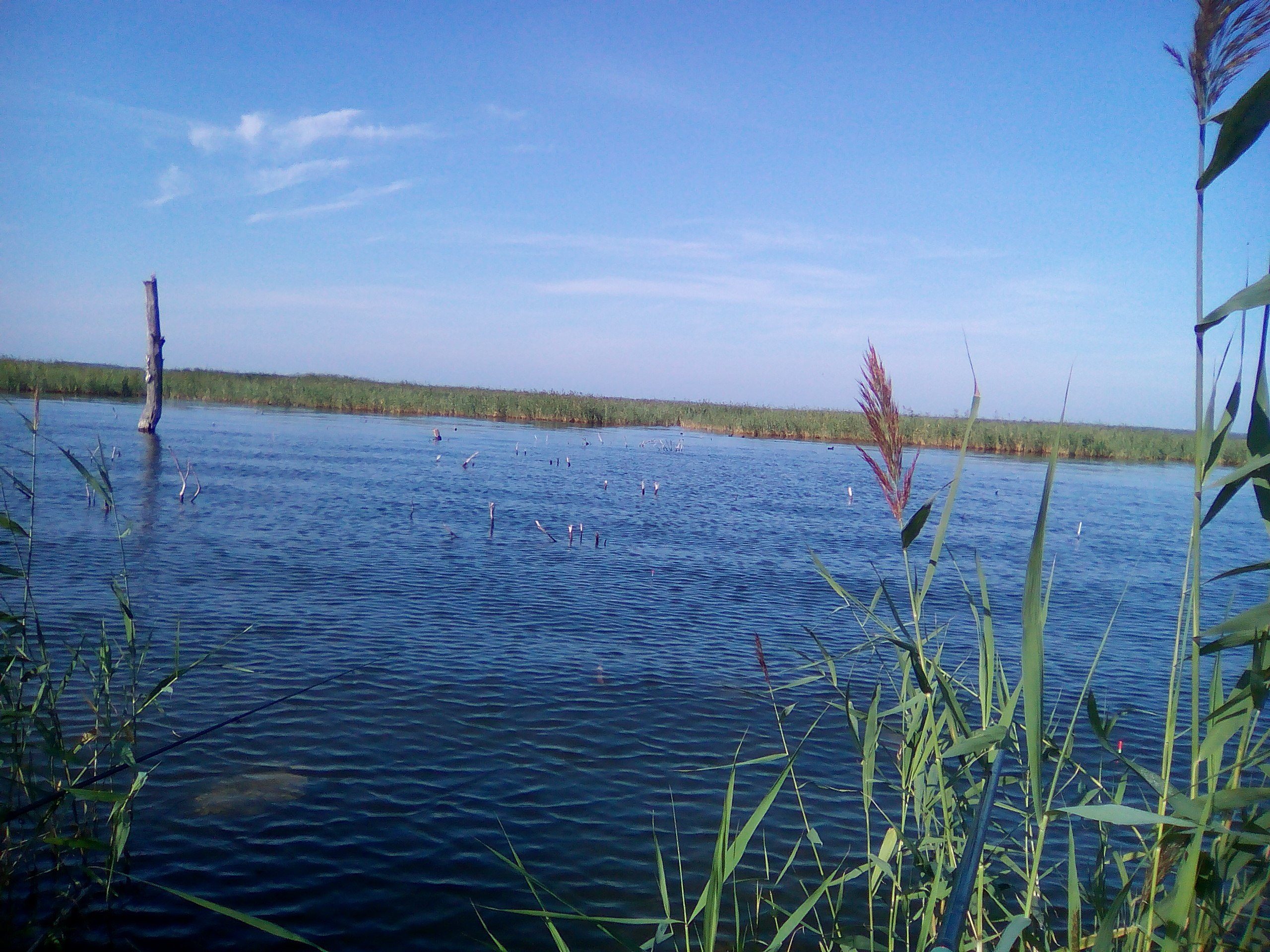 Озеро Урефты Челябинская область