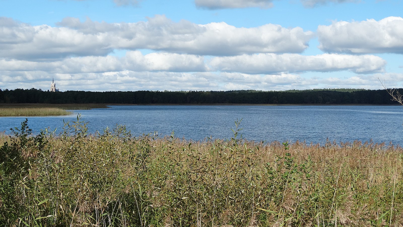 Озеро было полно. Озеро Круглец Владимирская область. Луодис озеро. Озеро Круглец Петушинский район. Озера Литвы.