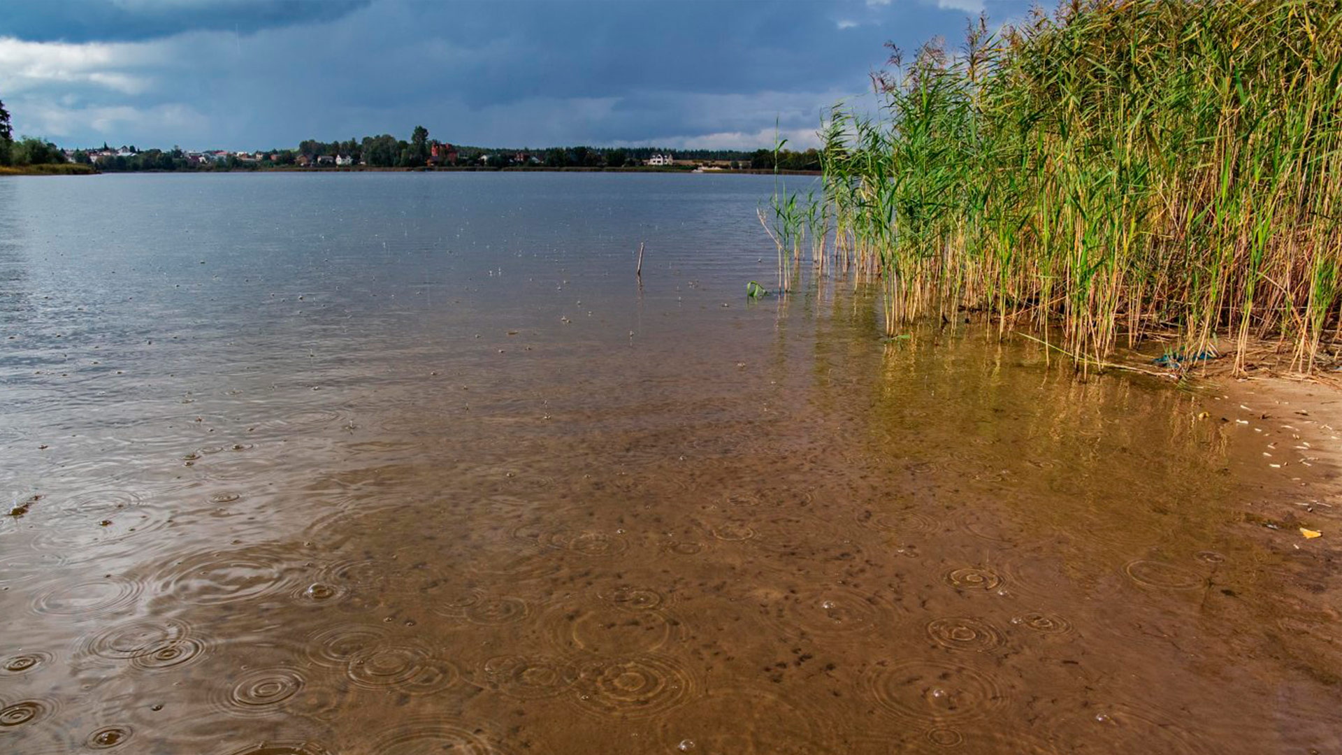 Озеро Ковалевское Татарстан