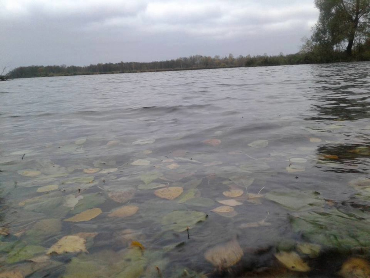 Озеро Муромское Шатура