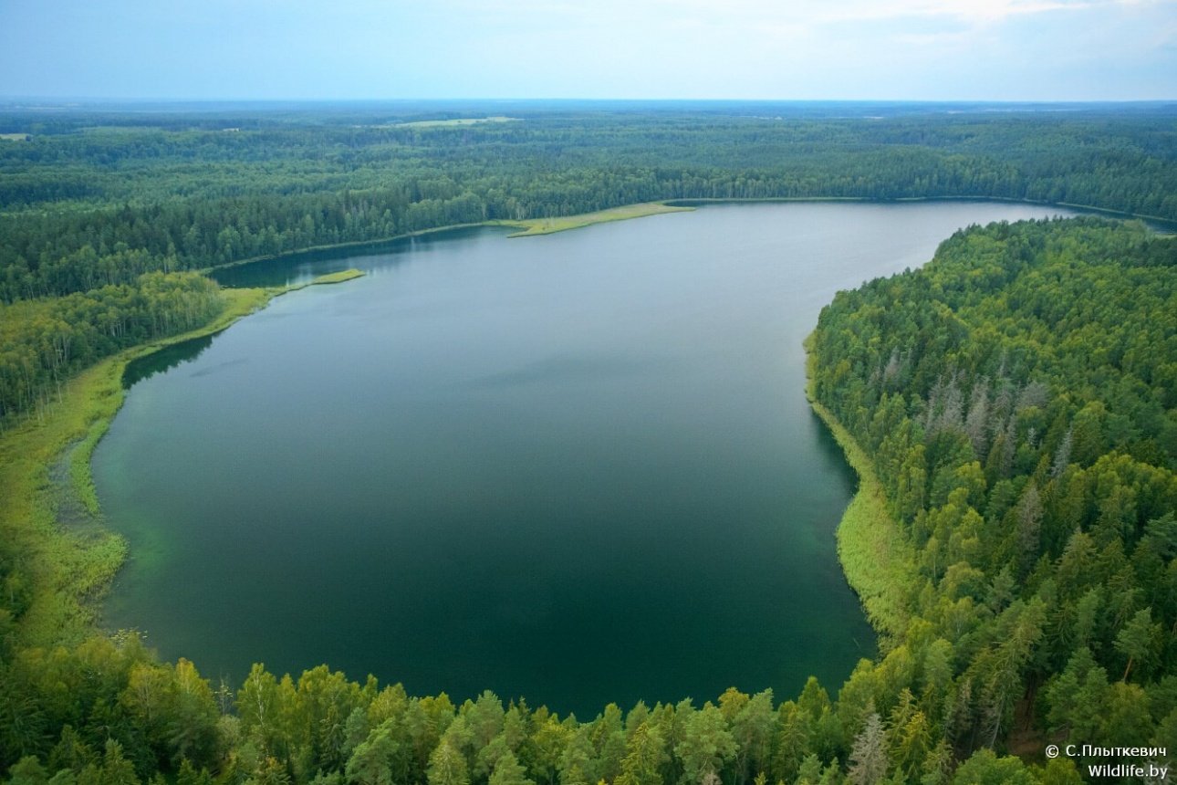 озера в белоруссии все