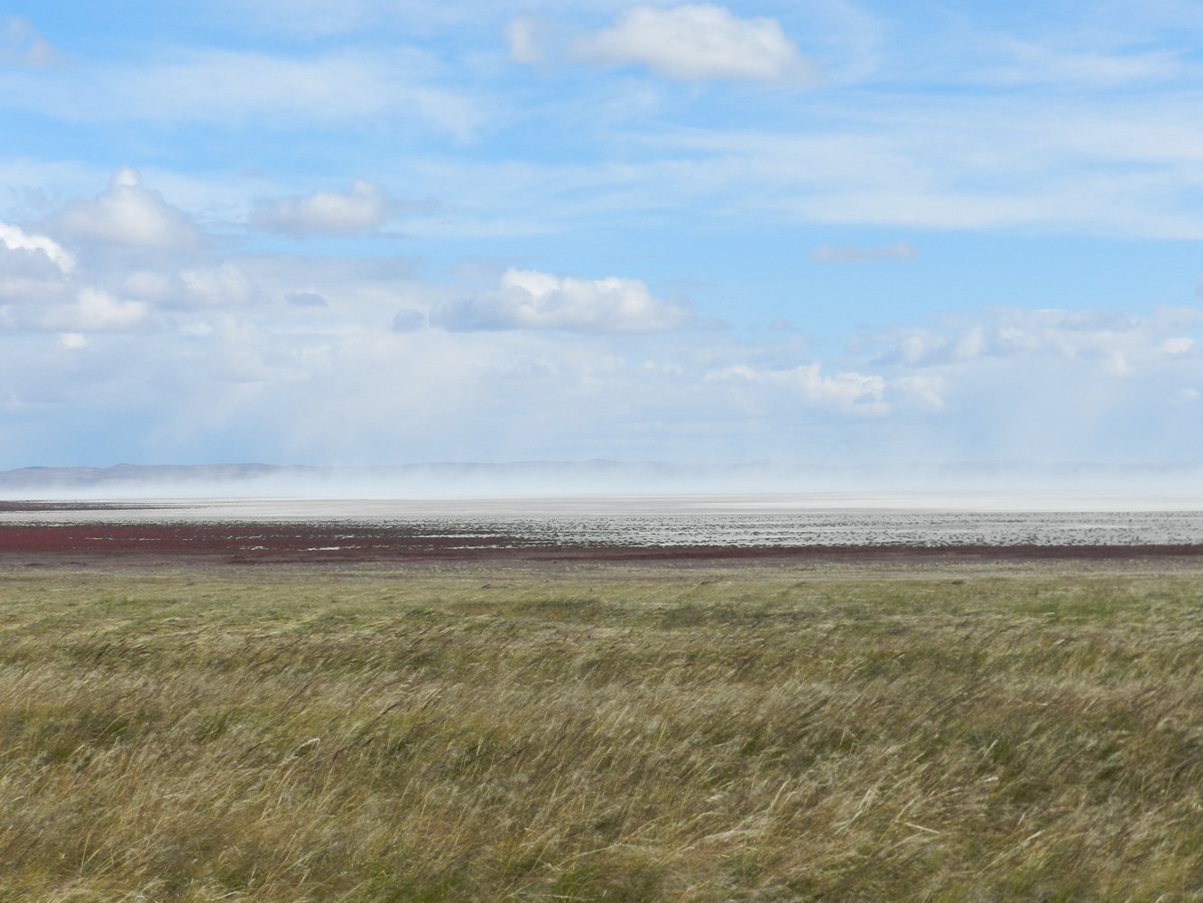 Озеро степное забайкальский край. Озеро зун-Торей. Пульсирующие озера даурских степей. Озеро зун-Торей Забайкальский. Озеро Барун-Торей.
