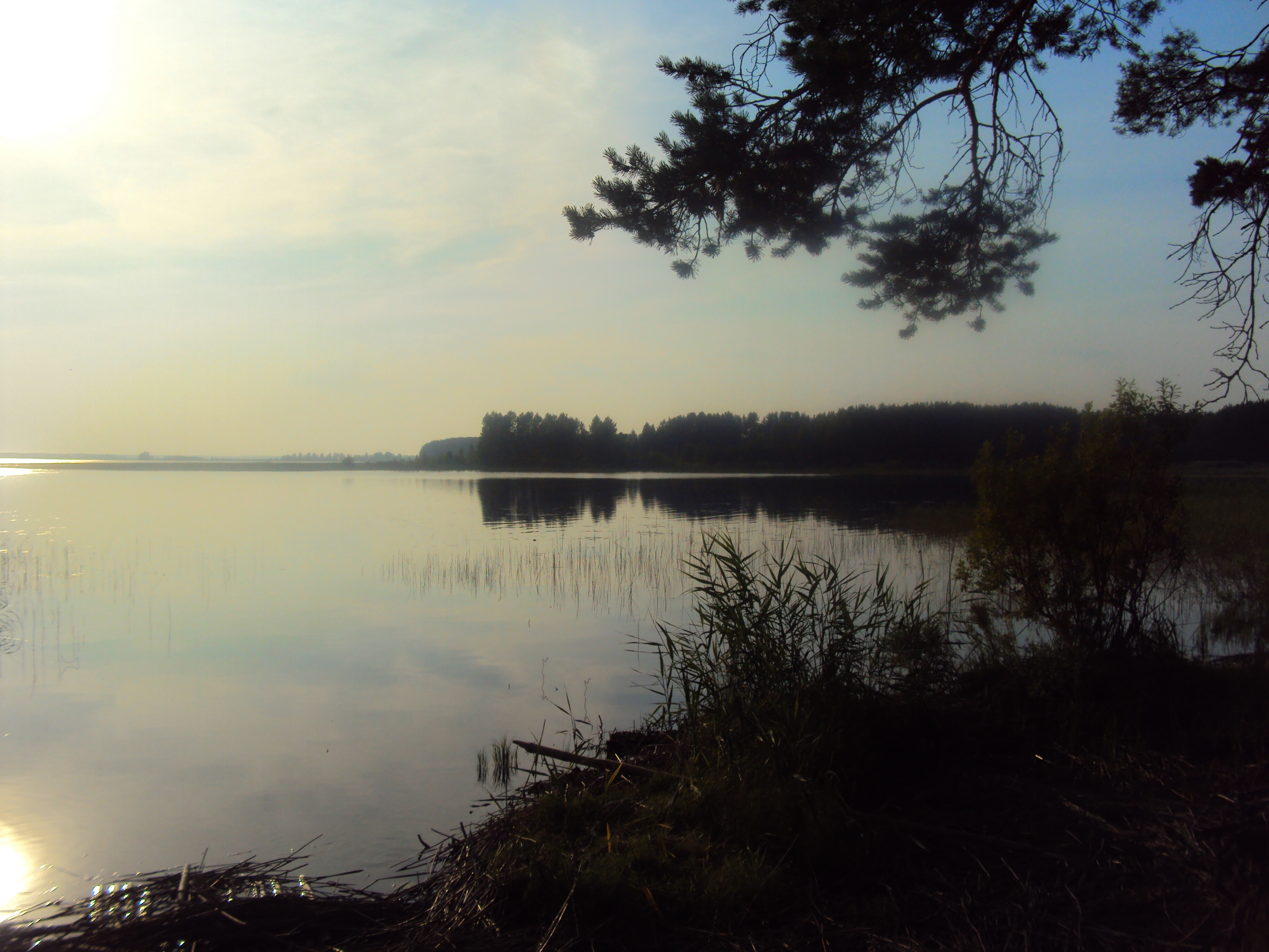 Озеро Кафтино Тверская