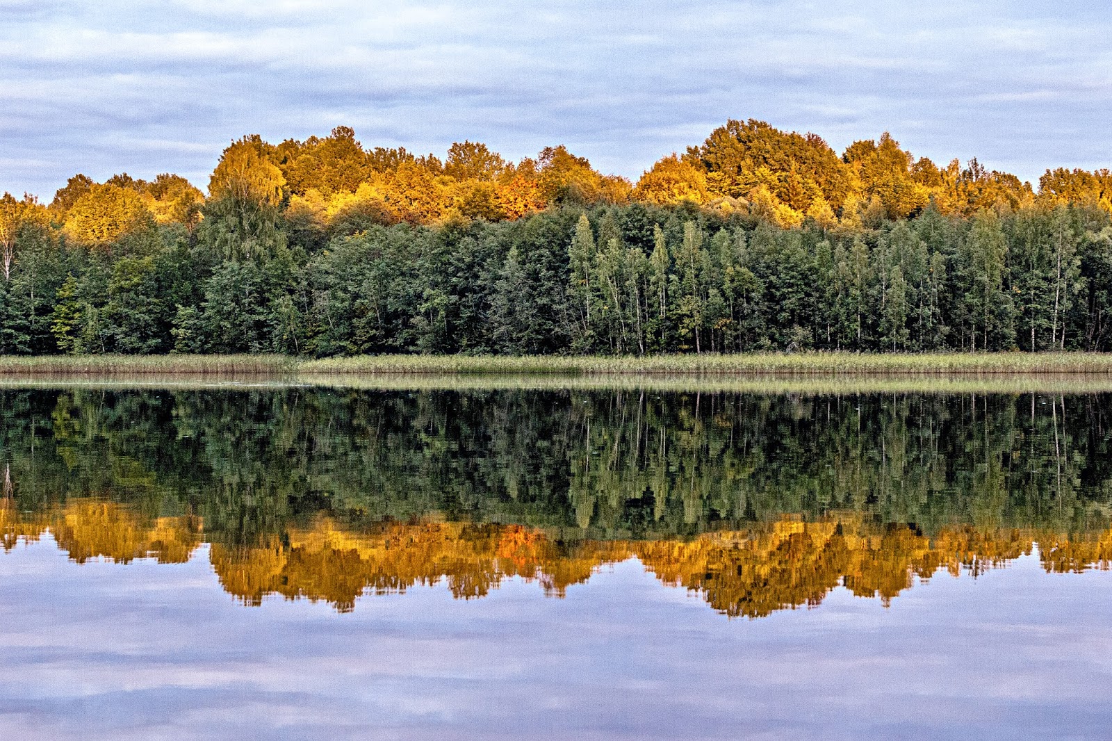 Сайт смоленское поозерье. Смоленское Поозерье национальный парк. Озеро ДГО Смоленская область. Озеро ДГО Смоленское Поозерье. Полесье Поозерье.