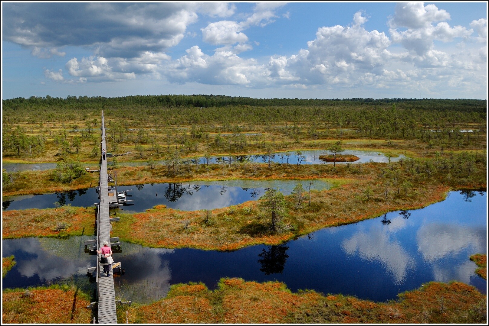 Заповедник болото Эстония