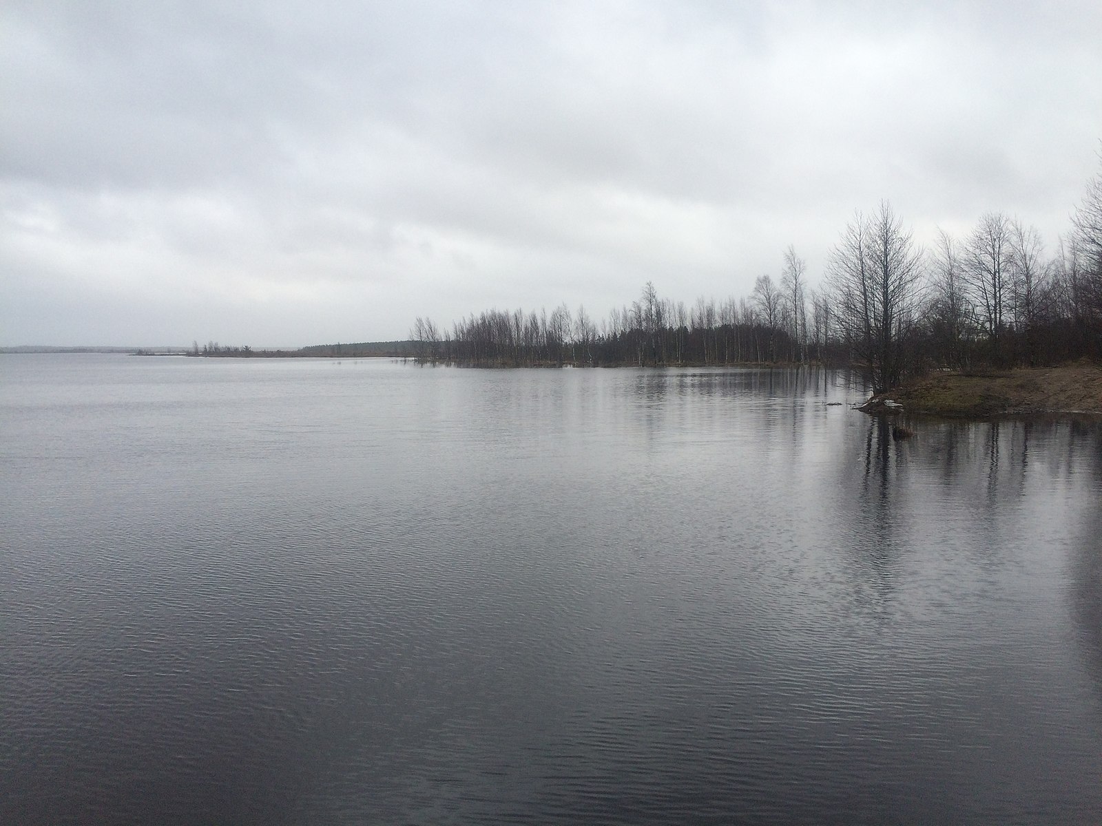 Волоярви (озеро) озёра Ленинградской области