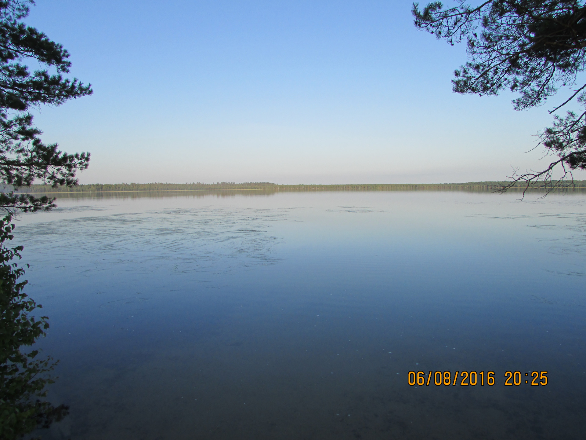 Озеро большие Чертаны Томская область