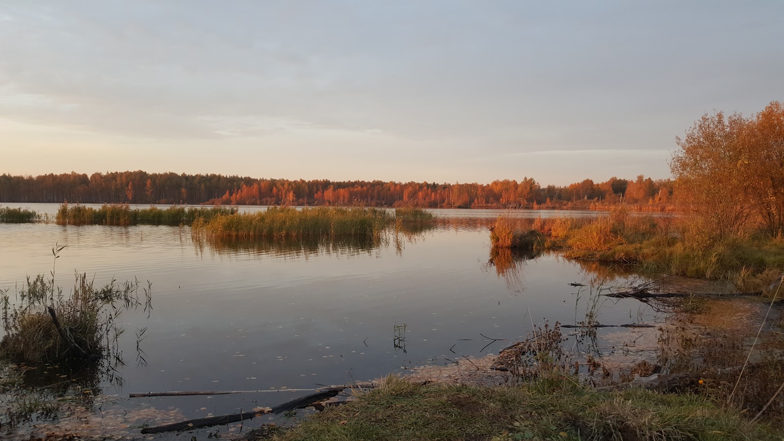 Озеро пруд Андреевское Тюмень