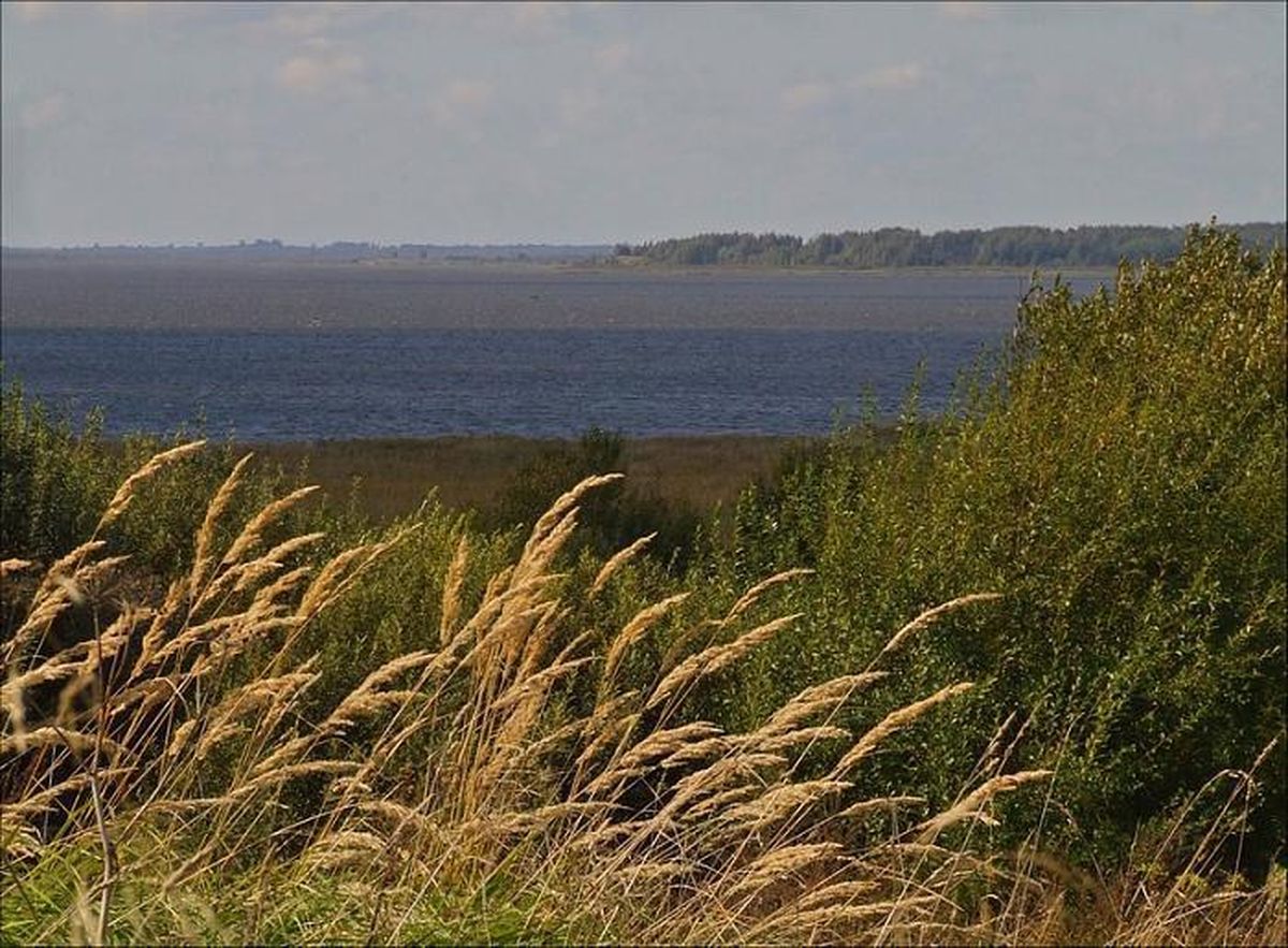 Освейское озеро Беларусь