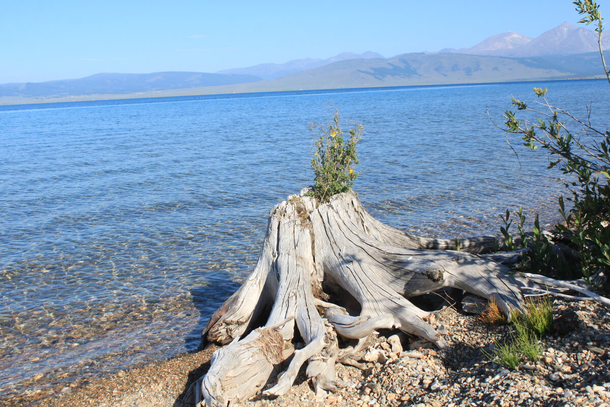 Озеро хубсугул в монголии фото