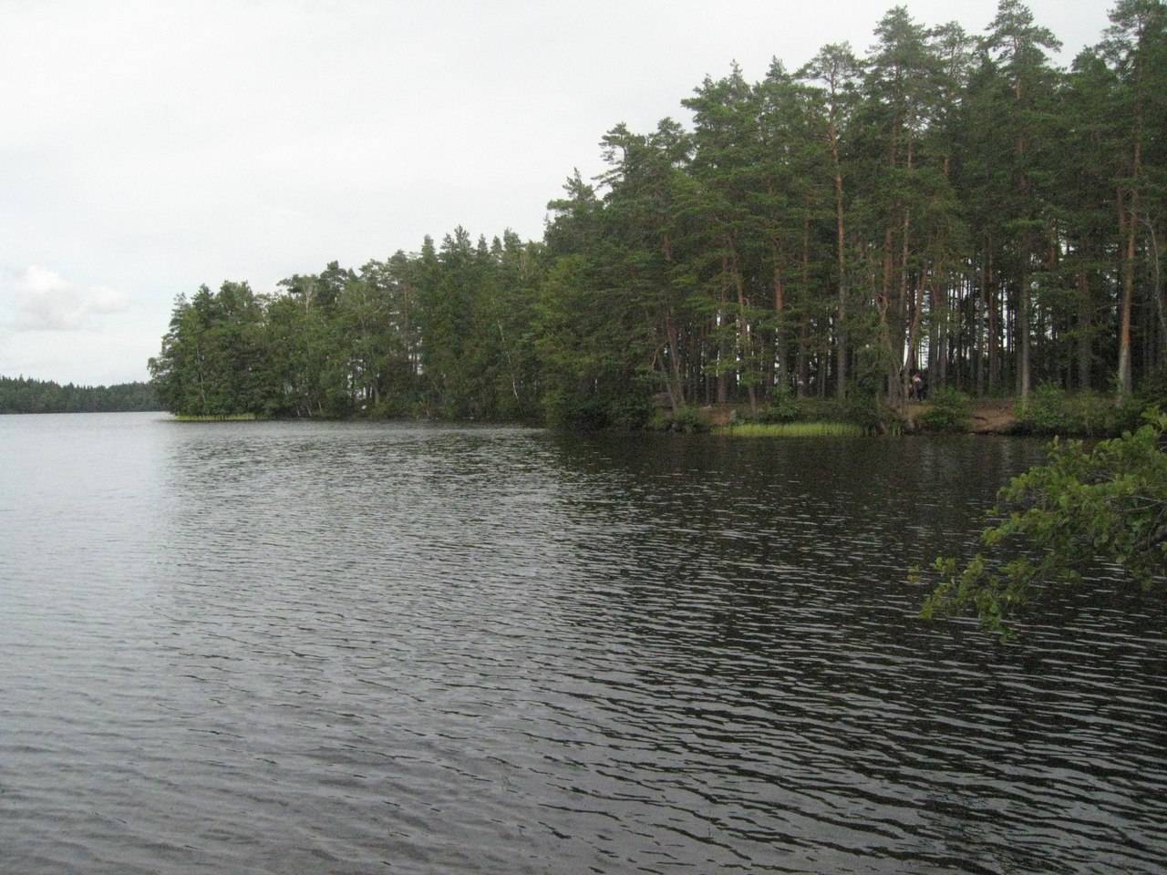 Курголовское озеро