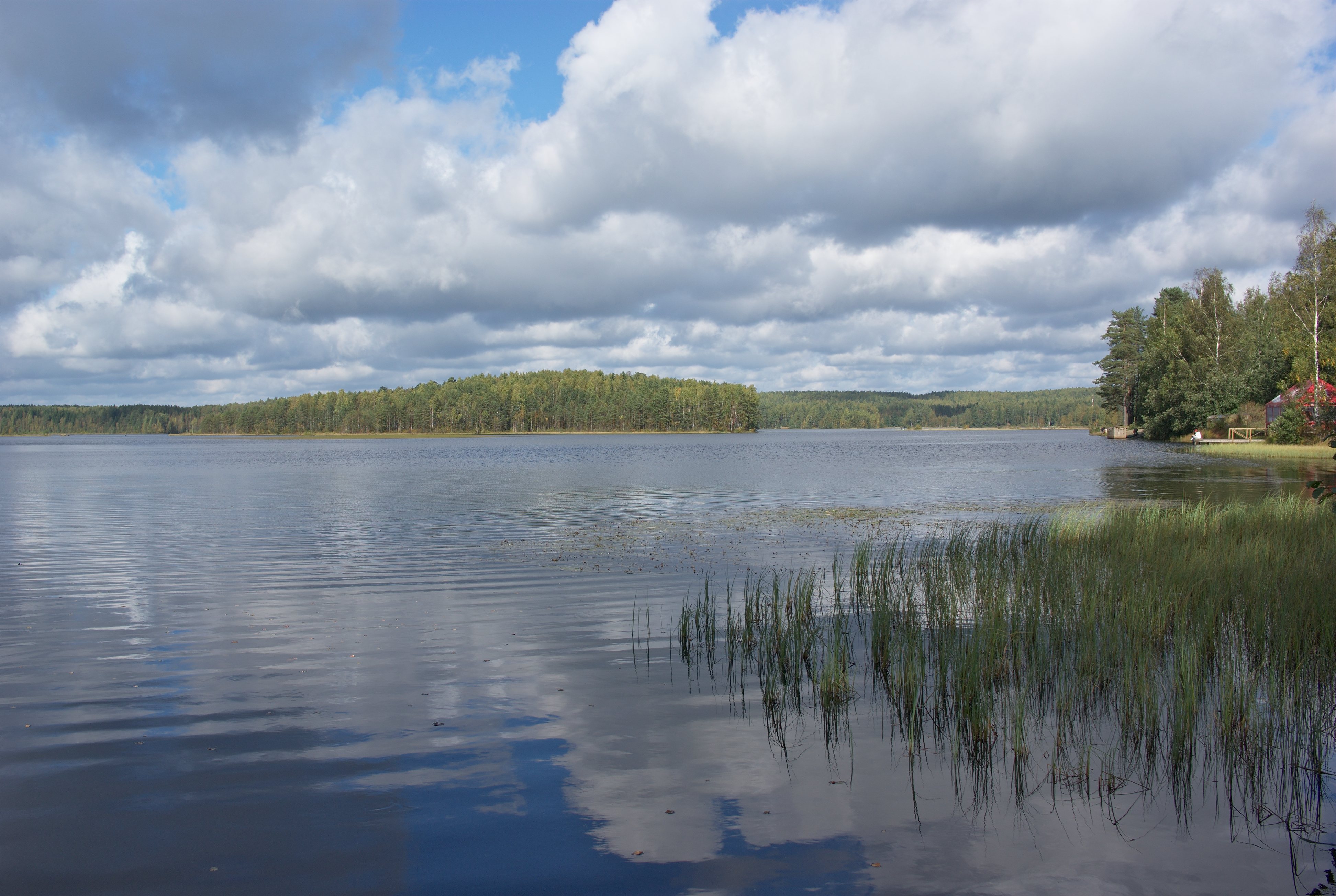 Озеро Меднозаводский разлив рыбалка