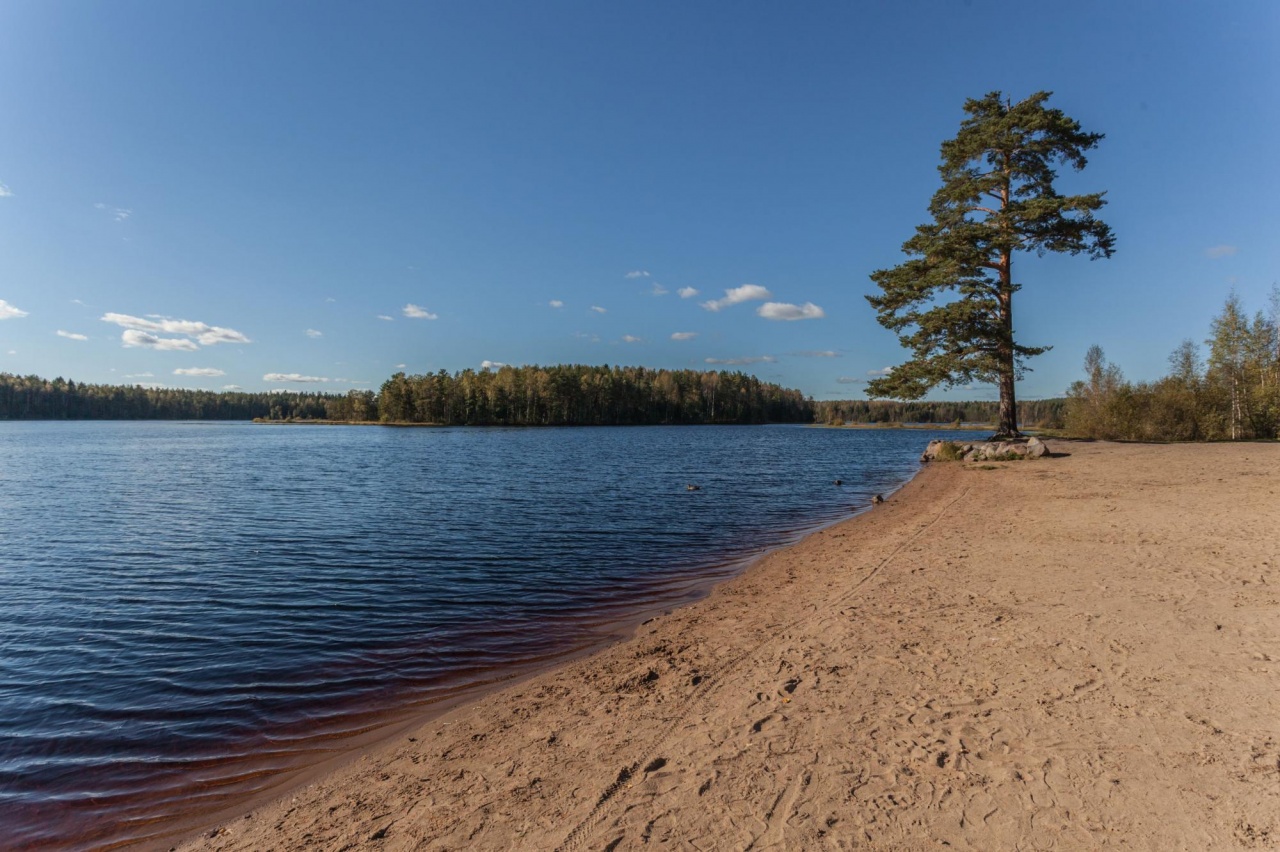 Медное озеро Ленинградская область пляж