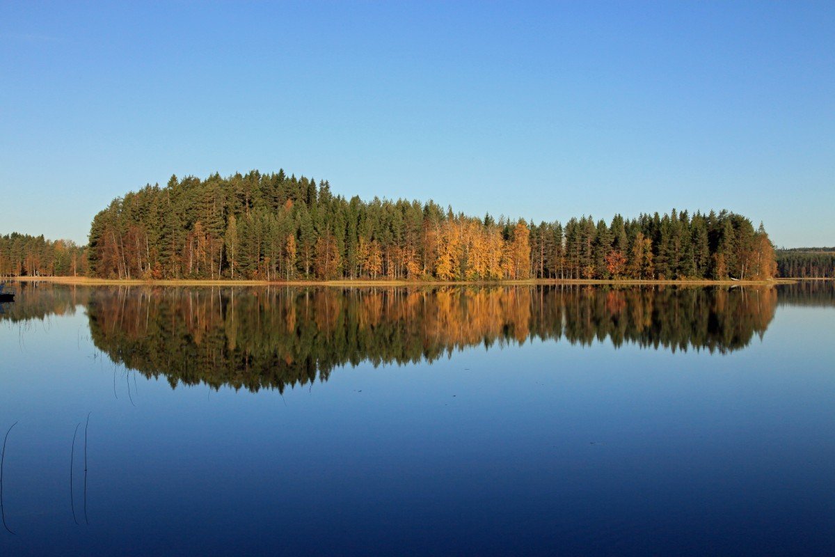 Белое озеро Ленинградская область